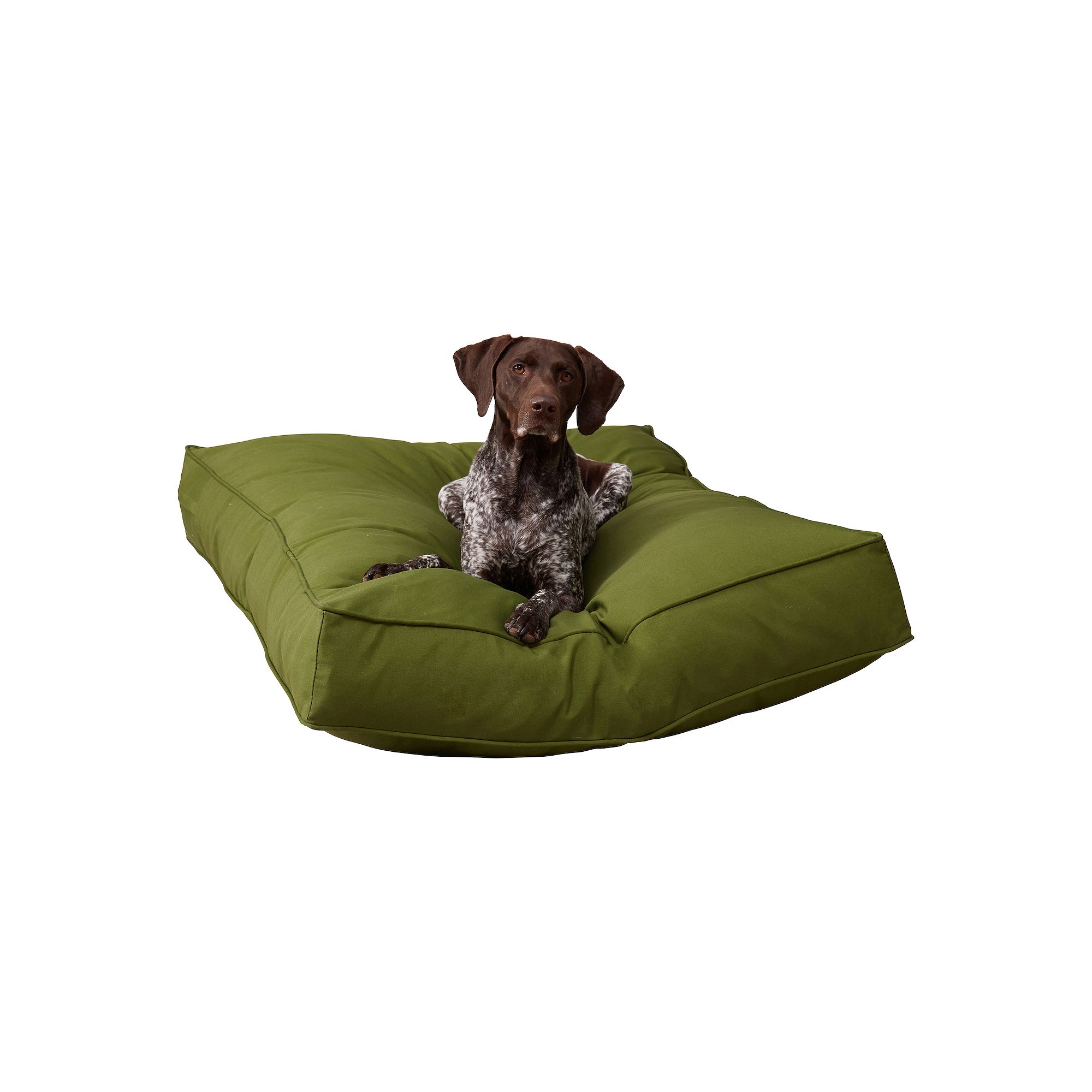 Happy Hounds Casey Rectangular Indoor/Outdoor Dog Bed, Hunter
