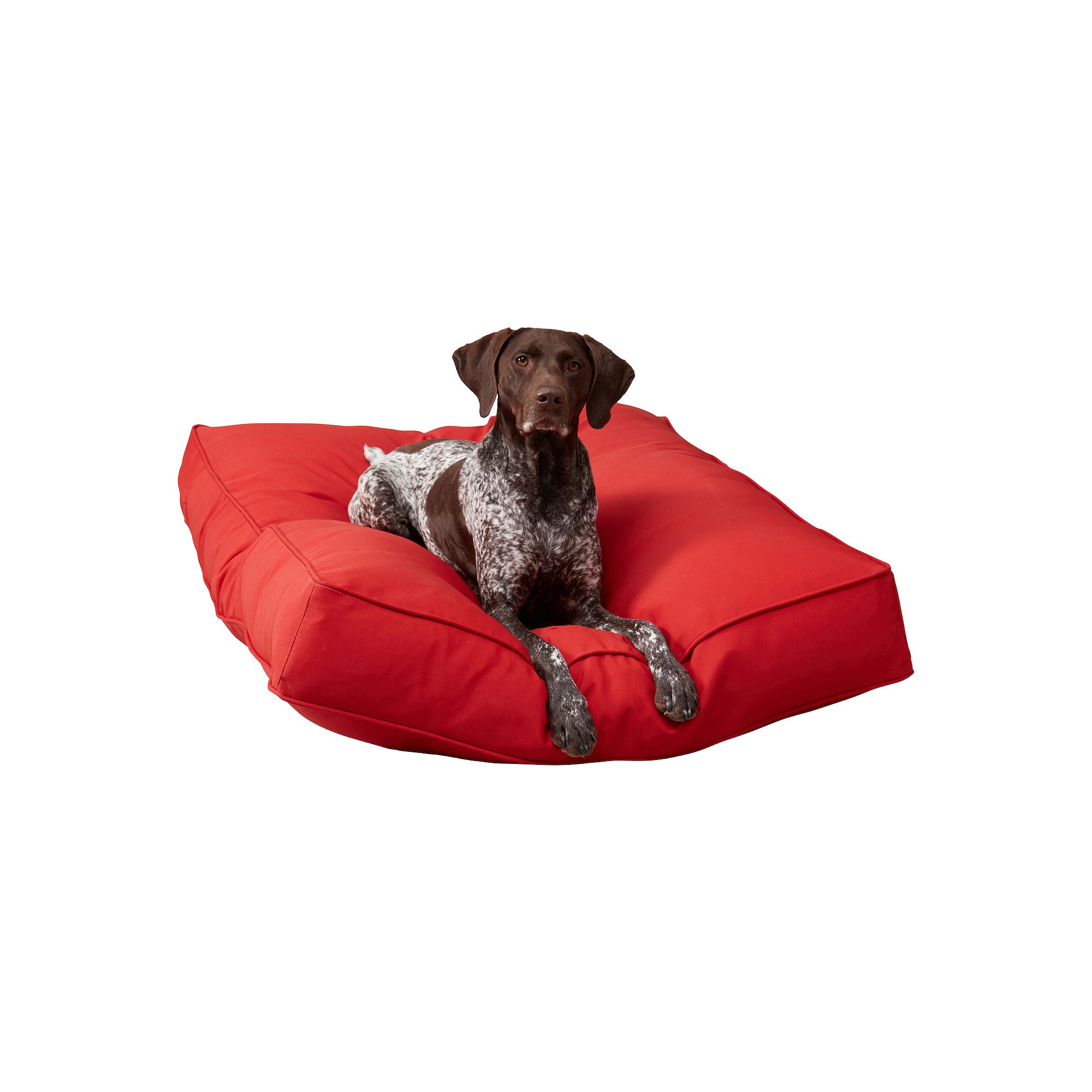 Happy Hounds Casey Rectangular Indoor/Outdoor Dog Bed, Salsa