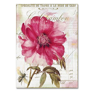 Trademark Fine Art Pink Peony Canvas Wall Art