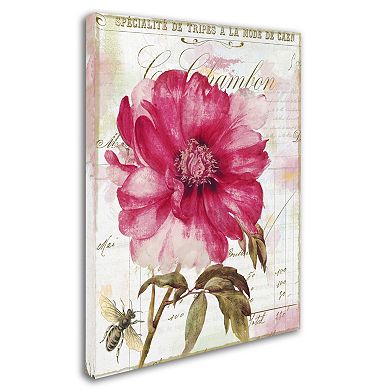 Trademark Fine Art Pink Peony Canvas Wall Art
