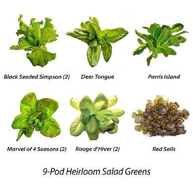 Miracle-Gro AeroGarden Heirloom Salad Greens 9-Pod Seed Kit