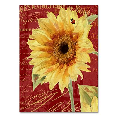 Trademark Fine Art Ladybug Canvas Wall Art