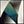 Gray Teal