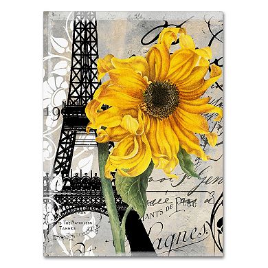 Trademark Fine Art Paris Blanc Canvas Wall Art