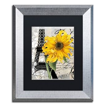 Trademark Fine Art Paris Blanc Silver Finish Framed Wall Art