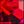 Pink Purple Red