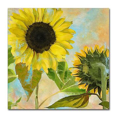 Trademark Fine Art Soleil I Canvas Wall Art