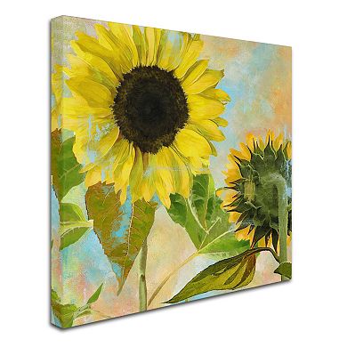 Trademark Fine Art Soleil I Canvas Wall Art