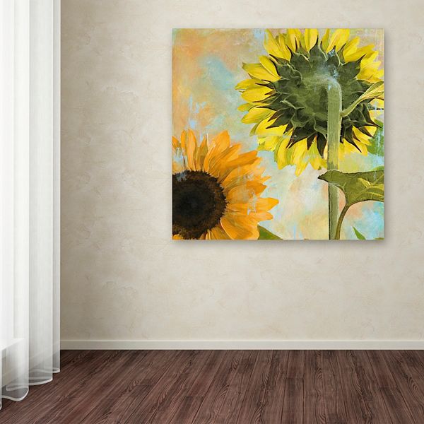 Trademark Fine Art Soleil II Canvas Wall Art