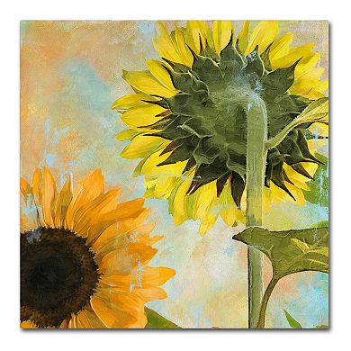 Trademark Fine Art Soleil II Canvas Wall Art