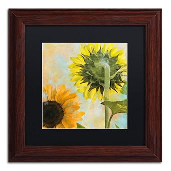 Trademark Fine Art Soleil II Framed Wall Art