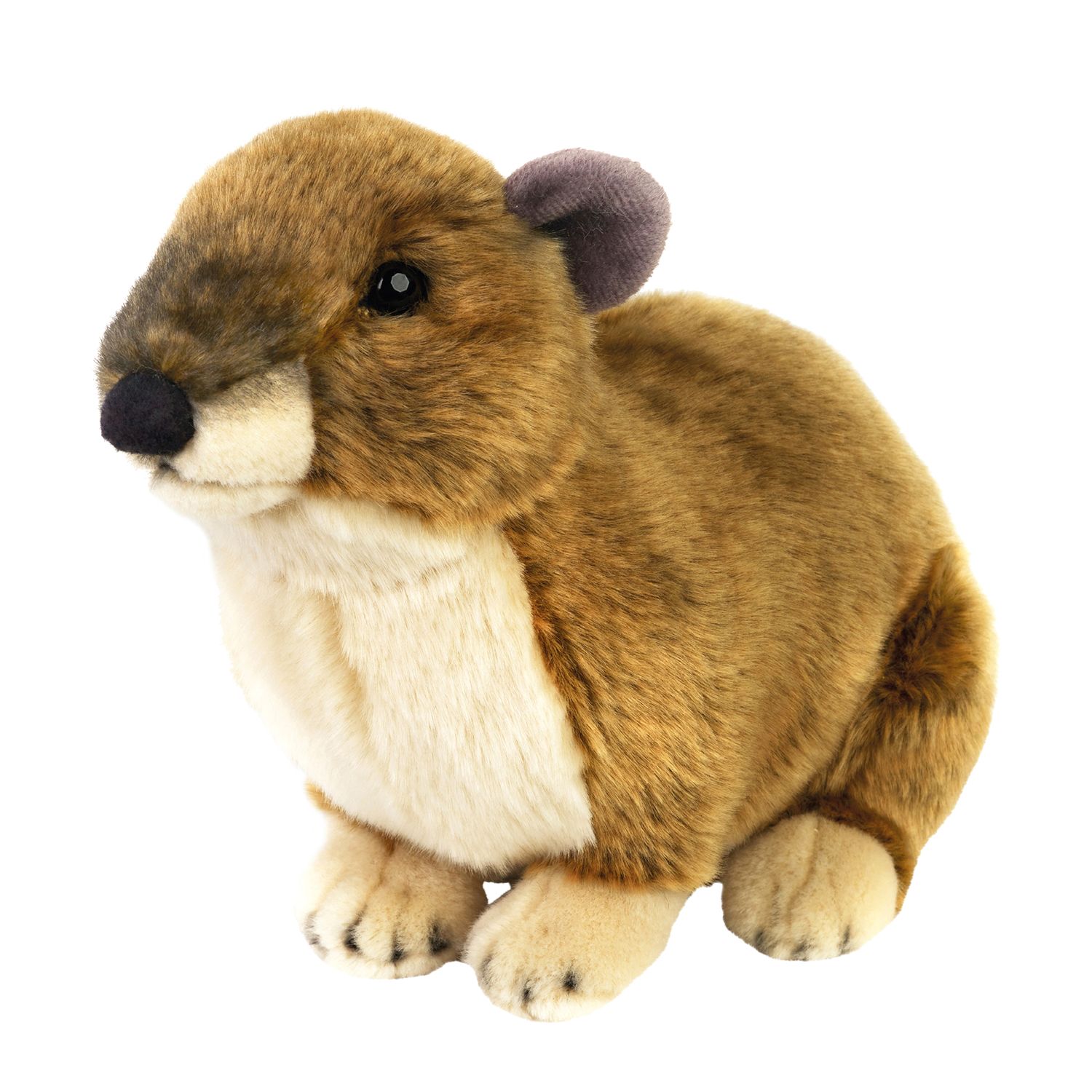 national geographic plush