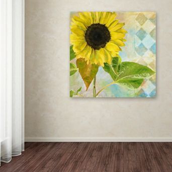 Trademark Fine Art Soleil III Canvas Wall Art