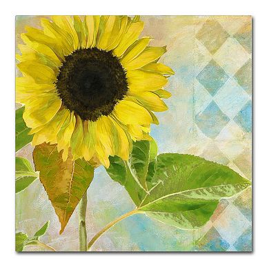 Trademark Fine Art Soleil III Canvas Wall Art