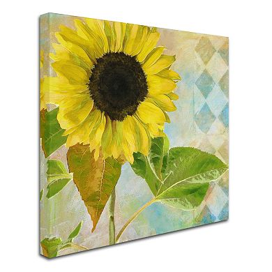 Trademark Fine Art Soleil III Canvas Wall Art