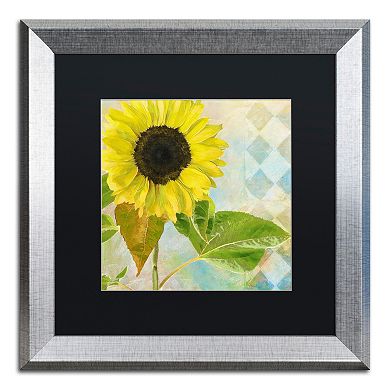 Trademark Fine Art Soleil III Silver Finish Framed Wall Art