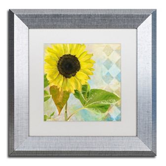 Trademark Fine Art Soleil III Silver Finish Framed Wall Art