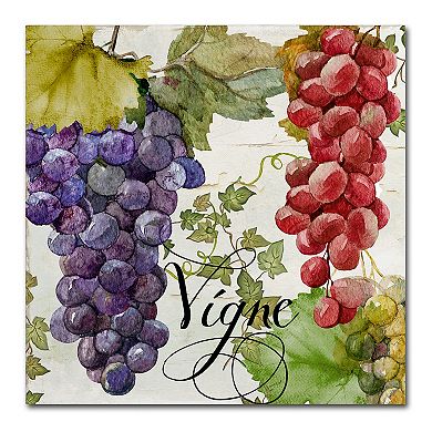 Trademark Fine Art Wines Of Paris I Canvas Wall Art