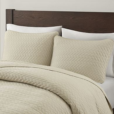 Hampton Hill Velvet Touch 3-Piece Quilt Set with Shams