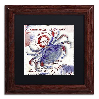 Trademark Fine Art Oceania I Framed Wall Art