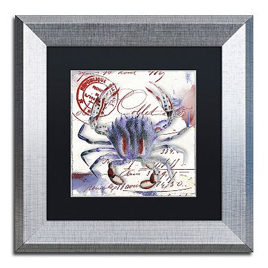 Trademark Fine Art Oceania II Silver Finish Framed Wall Art