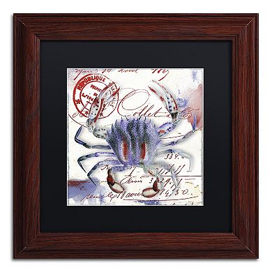 Trademark Fine Art Oceania II Framed Wall Art