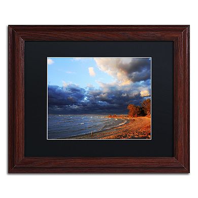 Trademark Fine Art Lake Erie Autumn Framed Wall Art