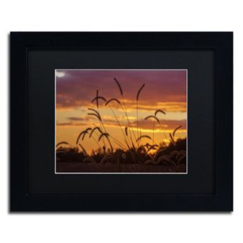 Trademark Fine Art Weeds Framed Wall Art