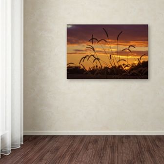 Trademark Fine Art Weeds Canvas Wall Art