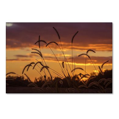 Trademark Fine Art Weeds Canvas Wall Art