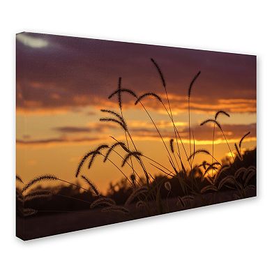 Trademark Fine Art Weeds Canvas Wall Art