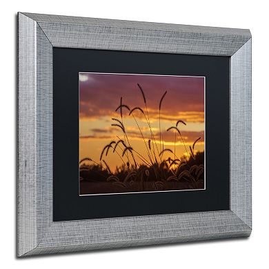 Trademark Fine Art Weeds Silver Finish Framed Wall Art
