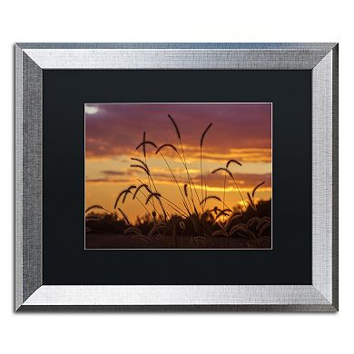 Trademark Fine Art Weeds Silver Finish Framed Wall Art
