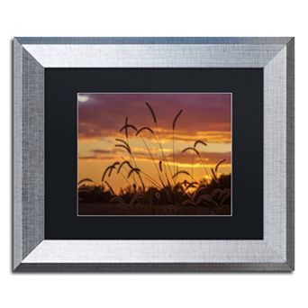 Trademark Fine Art Weeds Silver Finish Framed Wall Art