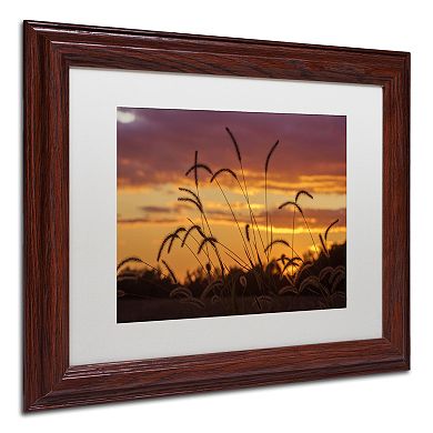 Trademark Fine Art Weeds Framed Wall Art