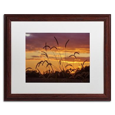 Trademark Fine Art Weeds Framed Wall Art