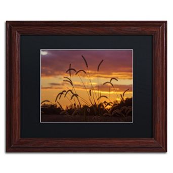 Trademark Fine Art Weeds Framed Wall Art