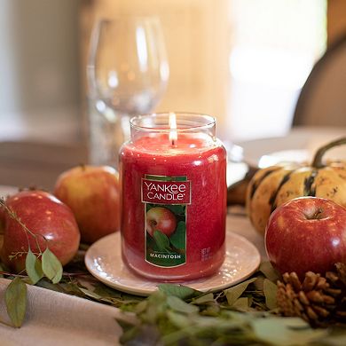 Yankee Candle Macintosh 22-oz. Large Candle Jar