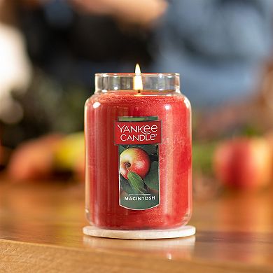 Yankee Candle Macintosh 22-oz. Large Candle Jar 