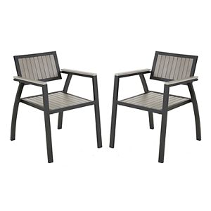 Madison Park Lester Patio Arm Chair 2-piece Set