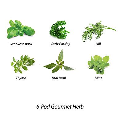Miracle-Gro AeroGarden Gourmet Herb 6-Pod Seed Kit