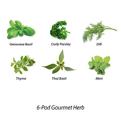 Miracle-Gro AeroGarden Gourmet Herb 6-Pod Seed Kit 