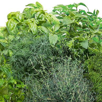 Miracle-Gro AeroGarden Gourmet Herb 6-Pod Seed Kit
