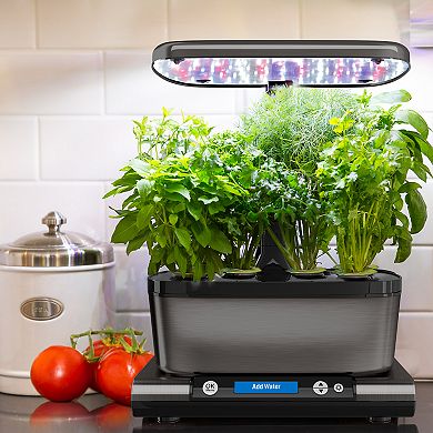 Miracle-Gro AeroGarden Gourmet Herb 6-Pod Seed Kit