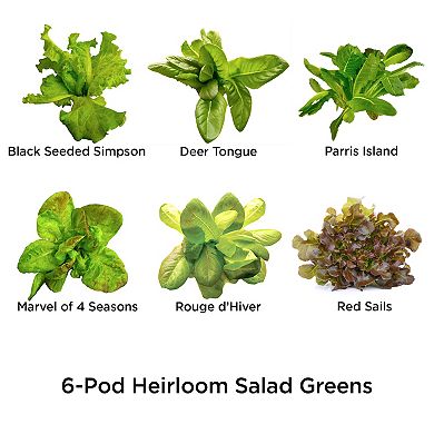 Miracle-Gro AeroGarden Heirloom Salad Greens 6-Pod Seed Kit 