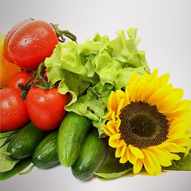 Miracle-Gro AeroGarden Grow Anything 6-Pod Seed Kit