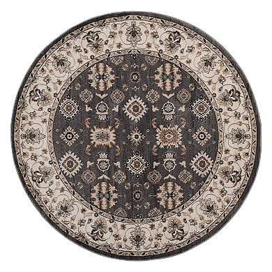 Safavieh Lyndhurst Framed Floral Rug