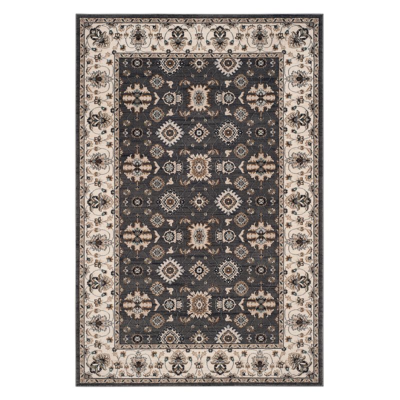 Safavieh Lyndhurst Framed Floral Rug, Grey, 6X9 Ft