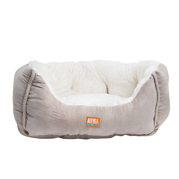 dog beds pet planet