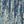 Navy Light Blue
